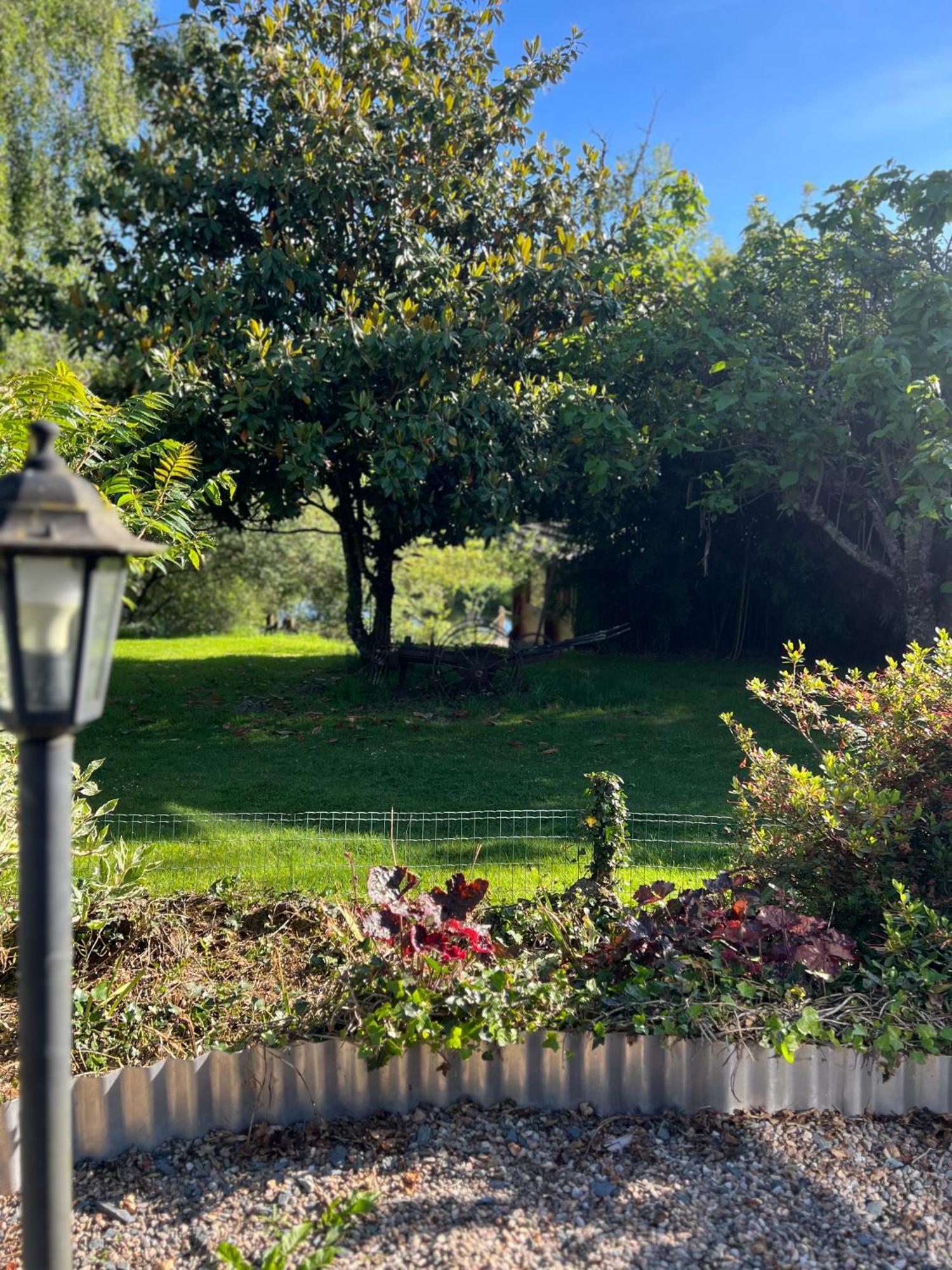 Le Domaine De La Vergnolle Roches  Ngoại thất bức ảnh