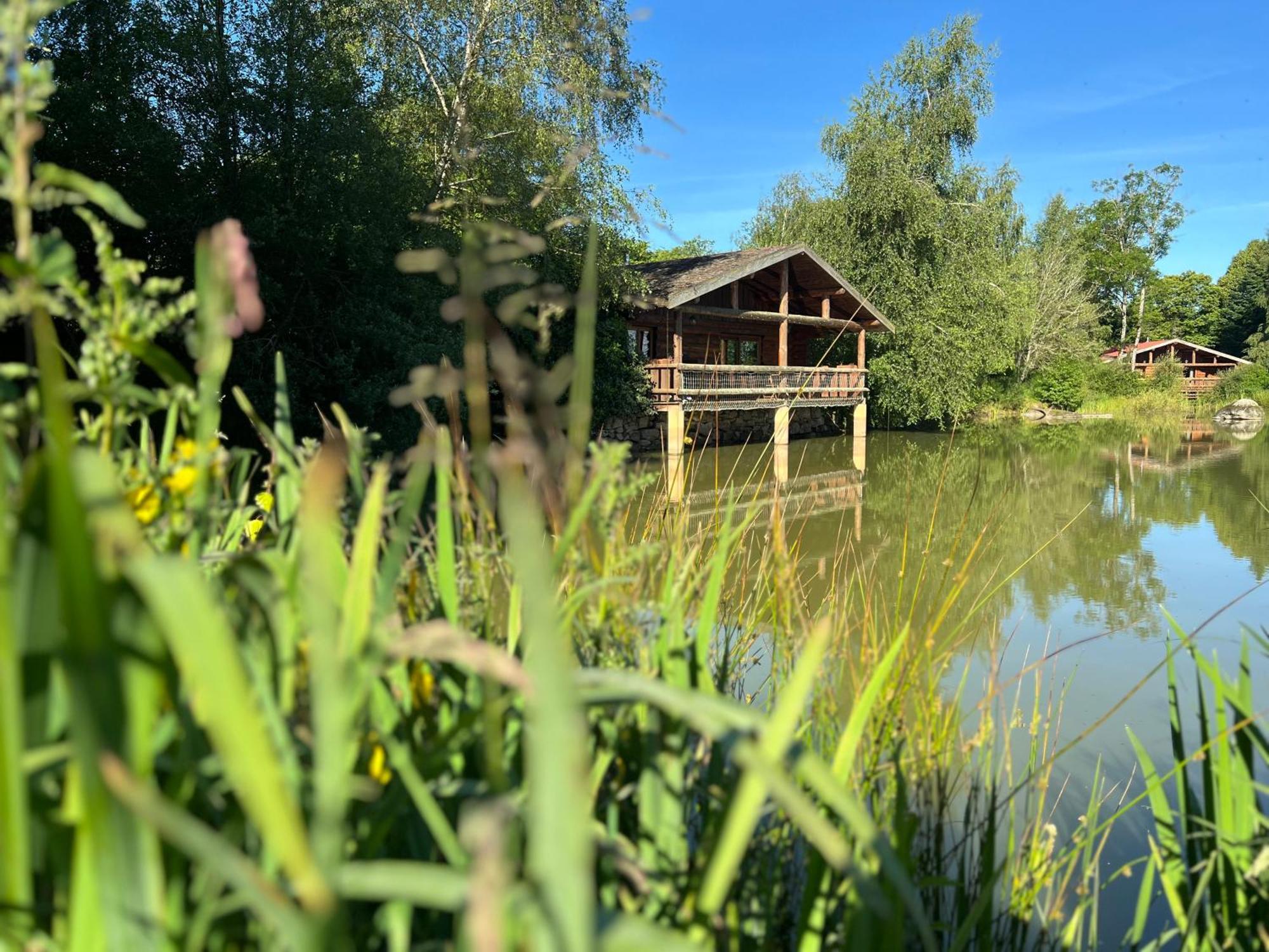 Le Domaine De La Vergnolle Roches  Ngoại thất bức ảnh